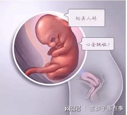 取卵手术室